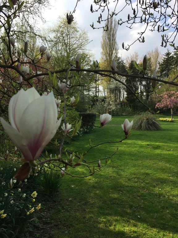 Отель Le Domaine Des Loups Souchez Экстерьер фото